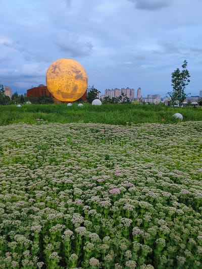 An illuminated, spherical art installation resembling the moon is prominently displayed in a park-like setting, set against a backdrop of a cloudy twilight sky and distant city buildings. The "moon" is a large, yellow-lit sphere with crater-like markings, positioned behind a dense field of small, light-colored flowers and green grass. Several other smaller white spheres are scattered throughout the landscape, some partially obscured by vegetation. In the distance, a cluster of multi-story buildings forms a city skyline. The scene is likely a public space designed for recreation and art appreciation within the city.