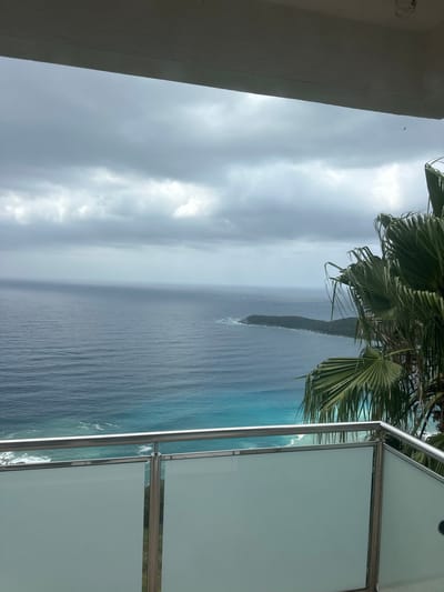 The image shows a view from a balcony overlooking the Adriatic Sea. The sky is overcast with dark gray clouds. The sea is a deep blue, with lighter turquoise water closer to the shore. A long, green, tree-covered peninsula juts out into the sea on the right side of the frame, with a small white structure visible on its far end. In the foreground, a modern balcony railing with glass panels and chrome supports is visible. A large palm frond hangs from the right side of the frame, partially obscuring the view of the sea. The overall scene suggests a cloudy day with a dramatic seascape. The location is identified as Seoce, Montenegro.