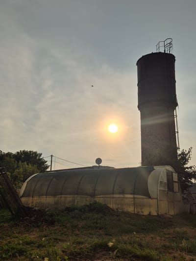The image shows a wide shot of an outdoor scene. In the foreground, there is overgrown grass and some dark soil. A dark, semi-circular structure with a translucent covering, possibly a greenhouse, is situated in the middle ground. Behind the greenhouse stands a tall, brick water tower. The sun is visible in the sky, partially obscured by clouds, casting a bright glow. A small bird is flying in the sky. The scene appears to be in a rural or semi-rural setting, possibly on the outskirts of the city of Novoishimskoye, Kazakhstan. There are no people visible in the image.
