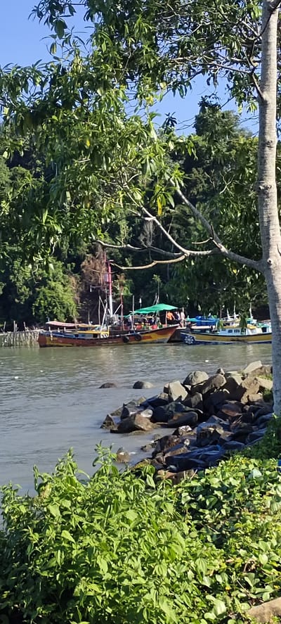 In Lhoktimon, Indonesia, a body of water is bordered by a rocky shore in the foreground, with lush green vegetation covering the lower portion of the frame. A line of dark rocks extends into the water, with a few larger, lighter-colored rocks visible beneath the surface. Behind the rocky shore and vegetation, several boats are moored in the water. The largest boat, brightly colored in red, yellow, and blue, has a tall mast and appears to be a fishing vessel. Other boats, including a smaller yellow and white one with a blue rudder, are also present. A green canopy is visible on one of the boats, and several individuals, appearing to be people, are standing on the decks. The background is dominated by a dense, green forest that slopes upwards towards a clear blue sky. The overall scene depicts a coastal area with active fishing boats and natural vegetation.