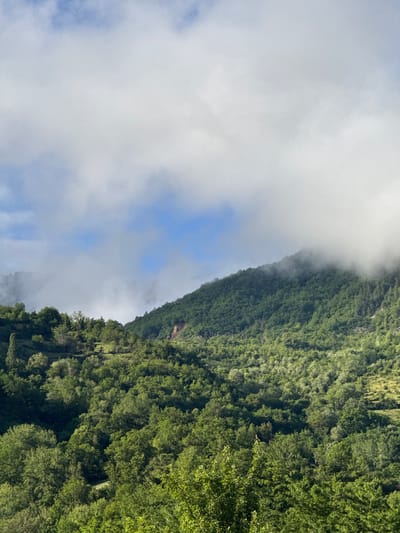 This image depicts a mountainous, forested landscape with a partially cloudy sky. The foreground is filled with lush green trees, creating a dense forest. The middle ground features rolling hills also covered in trees, with some areas appearing brighter, possibly indicating patches of sunlight. The background consists of a higher mountain slope, mostly obscured by thick, white clouds that are also present in the sky. A small, reddish-brown patch is visible on the mountain slope, possibly a rock face or a bare section of earth. The overall scene is natural and serene.

The location is specified as Khvanchkara, Georgia. The image captures a view of the mountainous terrain characteristic of the region, likely during daylight hours given the lighting. There are no people or visible man-made structures in the image. The environment is dominated by natural elements: vegetation, mountains, and clouds.