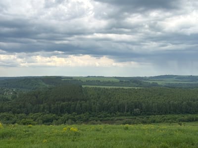 The image depicts a vast, rolling landscape under a heavy, overcast sky. In the foreground, a field of lush green grass, dotted with small yellow wildflowers, stretches towards a dense, dark green forest that blankets the undulating terrain. The forest extends into the middle ground, with a visible river or large body of water winding through it. Beyond the forest, the landscape transitions into more open, lighter green fields, punctuated by distant, darker green patches of trees and the faint outlines of a settlement or scattered houses on the left. The sky is filled with thick, grey clouds, with a lighter, hazy band of sky visible near the horizon, suggesting overcast conditions or potential rain in the distance. The scene conveys a sense of natural, rural beauty and the expansive, untouched quality of the countryside. The location is specified as Yel'tsovka, Russia, indicating a rural or semi-rural setting. There are no people or discernible actions in the image; it is a static landscape view.