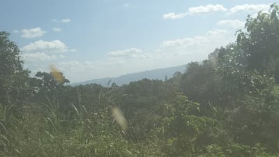 The image shows a view of lush green vegetation and a hazy mountain range in the distance. The scene is likely taken from a hillside, overlooking a dense forest. The sky is clear and blue, with scattered white clouds. The image was taken in Kayna, Democratic Republic of the Congo, at the coordinates -0.641 latitude and 29.173 longitude. There are no people visible in the image. The dominant feature is the dense vegetation, which appears to be a mixture of tall grasses and trees. The mountains in the distance are obscured by haze, suggesting a possible distance or a humid atmosphere.