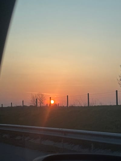 The image captures an outdoor rural landscape scene at sunset or sunrise, viewed from within a vehicle in the vicinity of Rupkite, Bulgaria. The sky transitions from light blue at the top to a prominent orange and red gradient at the horizon, occupying the upper two-thirds of the frame. The sun, a circular orange-red object, is positioned slightly left of the central vertical axis, appearing low on the horizon and partially obscured by distant structures or vegetation.
A dark wire mesh fence, supported by multiple vertical dark posts, extends horizontally across the midground. Behind this fence, several bare deciduous trees are silhouetted against the bright sky, with one distinct tree located to the left of the sun. The foreground features a dark gray-black surface, consistent with a vehicle's dashboard, and a silver-colored metallic guardrail running horizontally along the lower section of the image, suggesting a roadside environment. No individuals or discernible actions are present.