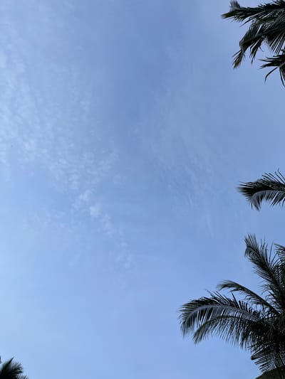 The image depicts a serene sky with palm fronds silhouetted against it. The sky is a soft, pale blue, with delicate, wispy clouds scattered across its expanse, suggesting a calm day. The time of day appears to be either early morning or late afternoon, given the diffused light. The palm fronds, dark and feathery, are visible at the top corners of the frame, hinting at a tropical or subtropical location, consistent with Lhokiboh, Indonesia. The perspective is looking upwards, emphasizing the vastness of the sky and the natural beauty of the surroundings. There is no activity or event taking place, and no text is visible in the image. The overall mood is peaceful and tranquil.