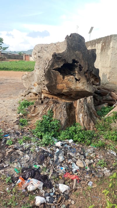A large, weathered tree stump and fallen trunk are the central subjects of this outdoor scene, likely in Kagarko South, Nigeria. The tree appears ancient and decaying, with a hollowed-out interior and a rough, textured bark. Vegetation, including green plants and some small mushrooms, grows around the base of the stump. In front of the stump is a large pile of garbage, consisting of various discarded items like plastic bags, wrappers, and other refuse, highlighting a problem with waste disposal.

In the background, a dirt road is visible, leading towards a rural settlement. A fence encloses an area with a small building and a wooden gate. Beyond the settlement, rolling hills are visible under a bright, cloudy sky, suggesting it is daytime with fair weather. A solitary solar panel and a small antenna are perched atop a wall on the right side of the image.

No people are visible in the frame. The scene evokes a sense of neglect and environmental concern due to the presence of the large amount of litter. The overall impression is of a rural area where natural elements like the old tree are juxtaposed with signs of human activity and its less desirable consequences. There is no visible text in the image.