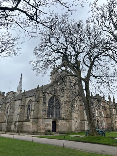 The image shows an exterior view of King's College Chapel, part of the University of Aberdeen, in Aberdeen City, United Kingdom. A large bare tree with a bird's nest in its branches dominates the foreground, partially obscuring the chapel. The chapel is constructed of light-colored stone, and its Gothic architecture is visible. Scaffolding is present on the building, indicating ongoing maintenance or renovation. A statue is positioned near the base of the tree on the right side of the frame. The ground near the chapel is covered in green grass and a paved walkway. The sky is overcast.