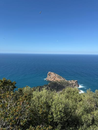 The image displays an elevated coastal landscape in Deià, Spain, under a clear, bright blue sky. The sky occupies the upper two-fifths of the frame, containing three white birds in flight: one centered near the top, one to the mid-left, and one to the upper right near the horizon line. The middle section of the image features the deep blue Mediterranean Sea, appearing calm and extending to a clear horizon. In the lower right quadrant, a prominent, light brown rocky peninsula protrudes into the sea, characterized by a distinct natural arch or circular opening through its upper portion. White foamy waves are visible breaking against the base of this rock formation. The foreground and the land connecting to the peninsula are densely covered in vibrant green and olive-toned foliage, consisting of shrubs and trees, with some reddish-brown accents visible within the leaves on the left side. No human figures or man-made structures are present within the scene.