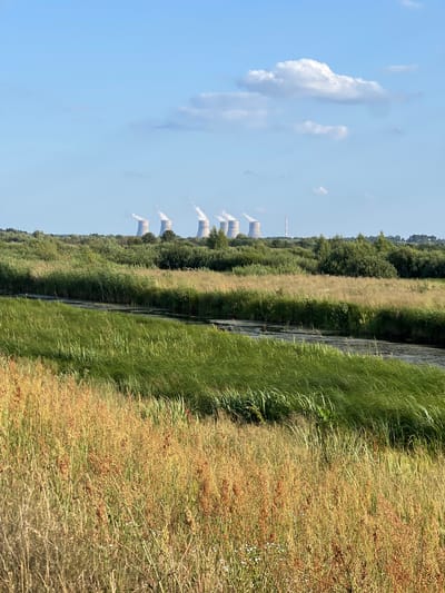 The image depicts a scenic landscape with a power plant in the background and a marshy area in the foreground. The power plant, located in the city of Sopachiv, Ukraine, features several large cooling towers emitting plumes of steam. The foreground is dominated by lush green and golden reeds and tall grasses, with a narrow stream or channel winding through them. The sky is a clear blue with a few scattered white clouds. The scene suggests a warm, sunny day.