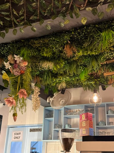 The image shows the interior of a cafe, possibly located in Shamshabad, India, with an abundance of artificial plants adorning the ceiling. The plants create a lush, green canopy with hanging flowers and branches. Below the ceiling, a white oscillating fan is visible on the right. A light blue wall features a light blue door with two signs: one reads "STAFF ONLY" in a white rectangular box, and another metal plaque says "KITCHEN." To the right of the door is a light blue shelf unit filled with glassware and decorative teal pots. In the foreground, a coffee grinder is partially visible, with a stack of colorful boxes labeled "FLURYS" placed on a black surface. A wire pendant lamp with an exposed bulb hangs from the ceiling, casting a warm light. The overall impression is a vibrant, nature-inspired cafe setting.