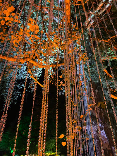 The image presents a detailed, low-angle view of a large tree at night, illuminated by artificial lighting and decorated with numerous strands of translucent beads. The tree's canopy features leaves in varying states of illumination; some are brightly lit with an orange-amber glow, particularly in the upper-left and central areas, while others appear in a cooler, desaturated green or blue-tinted light, especially towards the upper-right and background. The branches, textured bark, and a prominent tree trunk are visible, reflecting the different light sources. Hundreds of beaded strings, composed of small, clear, faceted spheres, hang vertically from the branches, descending through the foliage. These beads reflect the surrounding light, contributing to the overall luminosity and visual texture. The background is dark, indicating a nighttime setting, with hints of additional green-lit foliage visible in the lower sections of the frame. No individuals are present. This scene is situated in Sremski Karlovci Municipality, Serbia.