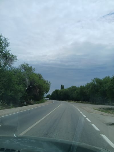 An overcast sky hangs above a two-lane asphalt road curving to the right in the city of Zharkent, Kazakhstan. Lush green trees line both sides of the road, with a few scattered white signs visible in the distance. The road surface appears worn, with visible tire marks and white lane dividers. The foreground shows the dashboard of a vehicle, suggesting the photo was taken from a moving car. The environment appears to be rural or semi-rural, with no people or animals visible in the frame.