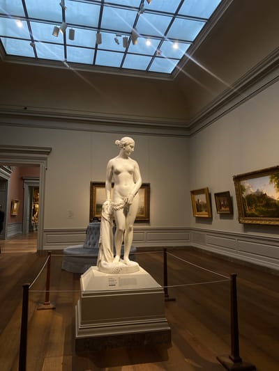 This photograph, taken inside an art museum in Washington, D.C., captures a white marble statue of a female figure standing on a pedestal. The statue is positioned in the center of the frame, with her body angled to the left and her head turned to the right. She is draped with a piece of cloth and a chain. The museum's interior features a high ceiling with a skylight, and the walls are adorned with several framed paintings. The floor is made of polished wood. The statue is roped off with a stanchion and cord barrier. In the background, a doorway reveals another gallery space with additional artworks and architectural details.