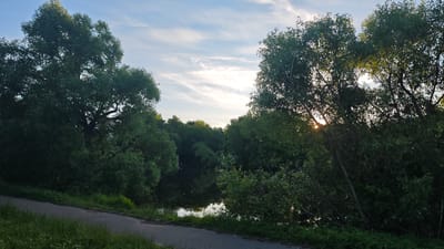 A paved path runs along the left side of the image, bordered by green grass and some small white flowers. To the right of the path is a body of water reflecting the sky and surrounding trees. Dense green trees line the far bank of the water, with some branches extending over it. The sky is blue with wispy white clouds, and the sun is visible, peeking through the leaves of trees on the right side of the image. The overall scene suggests a park or natural area in Щапово, Russia, likely during a clear day with the sun setting or rising. There are no people or animals visible in the image.
