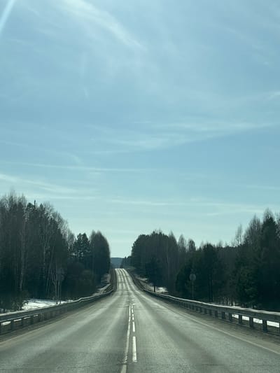 An eye-level view of a two-lane asphalt road extends into the distance with a light-blue sky above. On either side of the road are lines of trees, some bare and some evergreen. The road appears to be wet or slightly icy, reflecting light. A metal guardrail is visible along the right edge of the road. The sky is mostly clear with faint wisps of clouds. The time of day is likely daytime. There are no people or vehicles visible. Location information is not verifiable from the image.