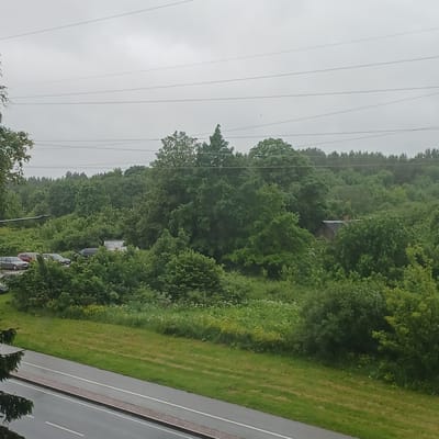 The image depicts an outdoor scene in Narva, Estonia, under an overcast sky, suggesting a cloudy or rainy day. The composition is oriented vertically, with power lines stretching across the top portion of the frame against a muted grey sky. To the right, a dense line of lush green trees forms a natural barrier, with varied shades indicating different types of foliage and varying sunlight penetration.
Adjacent to the treeline is a strip of mown grass, showing the distinct lines of a lawnmower. Further to the right, a paved road runs diagonally through the scene. The road has a grey surface and is marked with white lines, indicating a lane divider and a shoulder. A narrow strip of patterned material, possibly bricks or pavers, separates the road from the grassy area.
Within the treeline, partially obscured by branches, are several parked cars. These cars appear to be lined up along what could be a dirt track or an informal parking area within the wooded verge. One car, a lighter color, has a visible red element, possibly a rear light or accessory. The presence of parked cars suggests this might be a location where people gather or access the natural area.
In the far distance, a small building with a pitched roof is visible amidst the trees, adding a touch of human habitation to the otherwise natural landscape. The overall mood is subdued, likely due to the cloudy weather, creating a quiet and slightly somber atmosphere. No text is visible in the image.