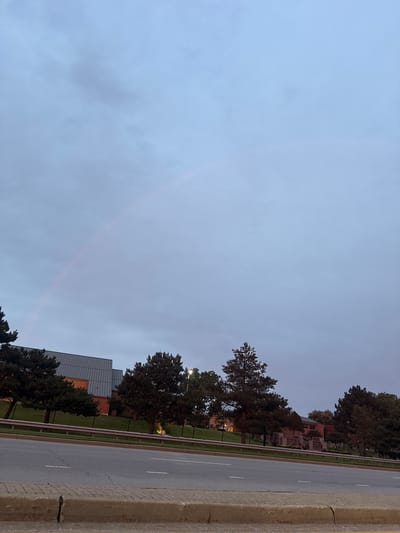 A faint rainbow arches across a pale, overcast sky above a street in Bloomingdale, Illinois. The sky is a soft blue-gray, with subtle variations in cloud cover. The rainbow, a soft arc of pink and pale yellow, is visible in the upper left quadrant of the image. Below the sky, a line of dark green evergreen trees forms a dense barrier. Behind the trees, modern buildings with flat roofs and brick accents are visible. A section of a paved road with white lane markings runs horizontally across the bottom of the image, bordered by a concrete curb and sidewalk. The overall scene depicts a quiet, overcast day in an urban or suburban environment.