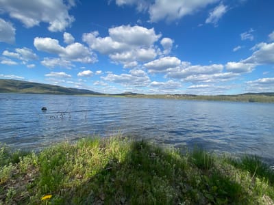 A scenic landscape photograph showcases a vast lake or reservoir under a clear blue sky, located near Baevtsi, Bulgaria. In the immediate foreground, a verdant grassy bank, dotted with small white wildflowers and a single yellow dandelion on the left, descends towards the water's edge. The lake's surface, a deep blue, is animated by ripples and small waves, suggesting a gentle breeze. On the left side of the water, several dark, partially submerged objects or bare branches are visible.

The background features a continuous stretch of low hills or mountains, predominantly covered in green deciduous trees. Towards the right, a distant settlement or village with clustered buildings can be discerned amidst the foliage along the far shore. The sky is a brilliant azure, filled with numerous fluffy, white cumulus clouds of varying sizes. A faint airplane contrail extends across the upper right quadrant of the sky.

The image conveys a tranquil daytime atmosphere, likely under sunny conditions in the late morning or early afternoon. No human activity or visible text is present, allowing the natural beauty of the landscape to be the sole focus.