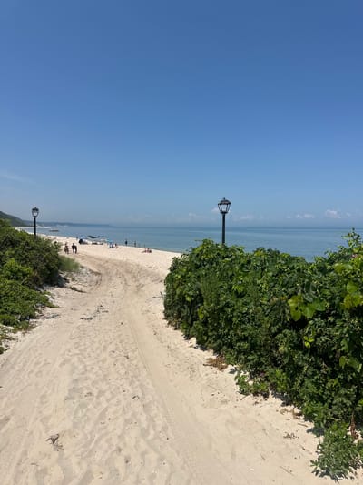 The image depicts a sandy path leading to a beach. On the left side of the path, lush green vegetation covers the landscape, with a lamppost visible amidst the foliage. The path itself shows tire tracks, indicating vehicular access. Further ahead, the sandy beach stretches out towards the calm, blue ocean under a clear sky. Several beach umbrellas and a few individuals are scattered along the shoreline, enjoying the sunny day. The horizon is marked by a gentle incline of land covered in greenery.