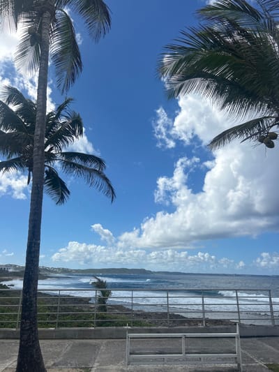 This image depicts a coastal scene in Le Moule, France, under a bright blue sky with scattered white cumulus clouds. The foreground features a tall palm tree trunk on the left, with its fronds and visible coconuts extending out of frame at the top. Additional palm fronds and coconuts are visible in the upper right corner. A grey horizontal metal railing separates a light-colored concrete walkway from the ocean. Below the railing, a rocky shoreline with sparse green vegetation transitions into dark blue ocean waters where multiple white-capped waves are actively breaking. In the distance, a curved coastline with white structures and green hills extends to the left, and a low-lying landmass is visible on the horizon. A white, low-profile, rectangular structure resembling a bench or barrier is present on the concrete in the lower center of the image. No individuals are visible.