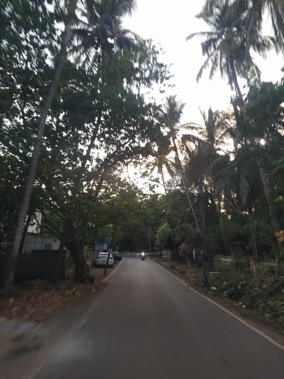 A street in Marna, India, is lined with tall palm trees and various green trees. The street is asphalt. A blue garbage bin sits on the side of the road. There are vehicles parked alongside the road, including a white van. The sky is bright.
