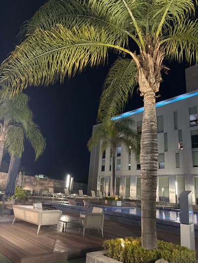 A nighttime scene features a palm tree with drooping fronds in the foreground. Adjacent is a modern building with a blue illuminated edge and numerous windows. A swimming pool runs alongside the building, with lounge chairs and tables placed on a wooden deck. Sparse greenery surrounds the pool area. The sky is dark, suggesting a late hour.