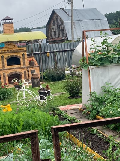 The image depicts a rural backyard scene, likely in Dubnik, Russia, on an overcast day. In the foreground, a rustic metal fence runs across the bottom of the frame, partially obscuring a garden with raised beds containing young plants, possibly onions and cabbage. Behind the fence, a well-tended garden features lush green foliage, including what appears to be a carrot patch. A white, decorative metal bicycle serves as a planter, holding various flowers and a small bird figurine.
To the left, a brick barbecue grill with a yellow canopy is visible. Further back, a metal fence separates the yard from neighboring properties. Beyond the fence, a large greenhouse or polytunnel stands, covered in white material. Two rustic wooden buildings with corrugated metal roofs are situated in the background. The sky is cloudy, contributing to a muted color palette throughout the scene. There are no people or animals actively engaged in any actions, but the presence of a birdhouse on the fence suggests the possibility of avian visitors. The overall impression is one of a lived-in, cultivated outdoor space.