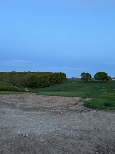 This image depicts a tranquil rural landscape in Gometz-le-Châtel, France, captured during either dawn or dusk. The upper half of the frame is dominated by a clear, light blue sky, indicating fair weather with no visible clouds.
Below the horizon, the scene transitions to lush green fields, possibly agricultural crops, extending into the midground. A line of verdant trees, some appearing as individual large deciduous trees with full canopies and others forming a denser wooded area, stretches across the landscape. Nestled within the distant tree line, a few buildings with faint reddish roofs are visible, suggesting farmhouses or barns.
The foreground, occupying the right side of the image, features a wide, unpaved path composed of dirt and gravel. This path has a rough, textured surface with numerous small stones. A subtle, squiggly pink marking is faintly visible on the surface of the path. No people or animals are present in the serene natural setting. The soft, diffuse lighting is characteristic of the twilight hours.