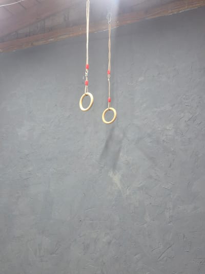 Two gymnastic rings are suspended by ropes from a ceiling. The ropes are secured with carabiners and have red cylindrical grips. The rings are wooden and appear to be for adult use. The background is a textured grey wall. The scene is indoors, likely a gym or fitness facility. The image does not provide information about the city of Zugdidi, Georgia.