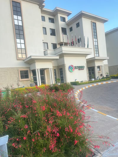 The image shows a multi-story building with cream-colored facade in Dowh, Malawi. A sign on the building reads "SUNBIRD Waterfront." Several flags are displayed on poles extending from the building. A large bush with red flowers is visible in the foreground, partially obscuring the view. A paved area with yellow and white striping runs along the edge of the building. The sky is light blue.