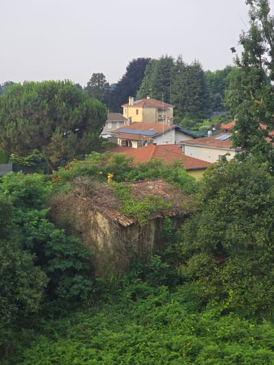 The image depicts an overgrown, abandoned building with a red-tiled roof, nestled amidst dense green foliage in Somma Lombardo, Italy. The structure is partially obscured by vegetation, with vines creeping up its walls and across the roof. In the background, several other houses with red-tiled roofs are visible, some with solar panels. Lush trees, including a large pine tree, and various other plants dominate the foreground and midground. The sky is overcast, creating a muted light. The scene suggests a rural or suburban area where nature has begun to reclaim an old structure.