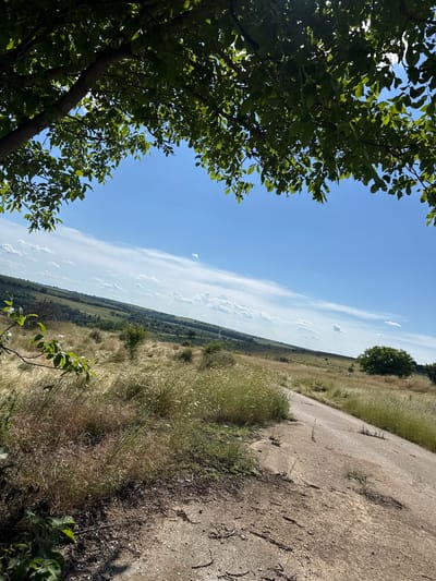 The image shows a sunlit rural landscape under a bright blue sky with wispy white clouds. In the foreground, a dirt path curves to the right, bordered by dry, golden grass. To the left, green tree branches with leaves frame the top of the scene. In the middle ground, rolling hills covered with vegetation stretch into the distance. A large, rounded green tree is visible on the right side of the middle ground. The scene appears to be located in the vicinity of Topchii, Bulgaria, characterized by its open fields and natural terrain. There are no people or discernible actions in the image.