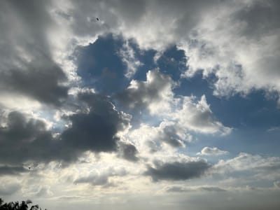 The image depicts a sky filled with a dramatic mix of dark, heavy clouds and bright, sunlit patches. The scene appears to be a low-angle shot of the sky, with the sun's rays breaking through the clouds, creating a luminous effect. In the distance, what appear to be palm fronds are visible at the bottom left corner, suggesting a tropical or coastal environment. Several small, dark shapes are scattered across the sky, which could be birds in flight. One prominent dark, kite-like shape is visible in the upper portion of the image. The overall impression is one of dynamic weather, with sunlight piercing through a cloudy sky. The mention of Tambakreja, Indonesia, places the scene in a specific geographical context, likely a coastal area due to the palm fronds.