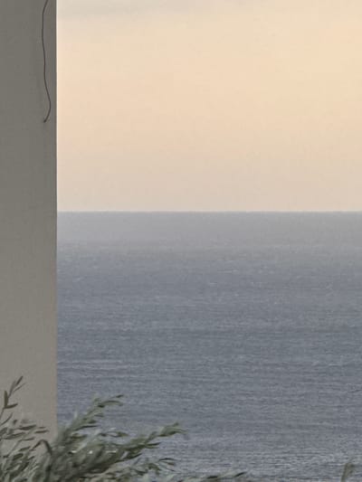 This is a close-up, cropped media file showing a minimalist still life. The left side of the image is dominated by a soft, cream-colored surface, likely a wall or backdrop, which is illuminated by a warm light, suggesting an indoor setting with ambient or artificial lighting. To the right of this is a distinct vertical division, separating the cream surface from a textured, grey surface. This grey surface appears to be a wall with a subtle vertical grain, possibly wood or a textured wallpaper, fading into a lighter shade towards the left edge of the grey section. The bottom of the image features a horizontal surface, appearing to be a table or shelf, rendered in a neutral grey tone. A thin, dark string or thread is draped across this surface on the left side. In the lower right corner, a sprig of dried foliage, likely a herb or a decorative branch, with delicate leaves, is visible, adding a touch of organic texture and color to the otherwise neutral palette. The scene is static, with no discernible activity or event taking place. The lighting and composition suggest a quiet, perhaps contemplative mood. There is no visible text in the image. The setting appears to be indoors, with the color palette and textures creating a serene and uncluttered aesthetic.
