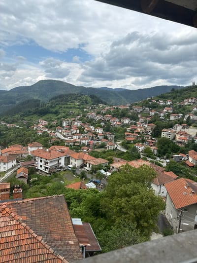 This panoramic image depicts a dense mountain village, identified as Momchilovtsi, Bulgaria, nestled within a landscape of rolling, tree-covered hills. The sky above is partially cloudy with patches of blue visible.

The scene is dominated by a multitude of residential houses, most featuring distinctive reddish-brown or terracotta tiled roofs. These structures are built closely together, clinging to the steep, green slopes and interspersed with abundant trees and vegetation. The houses vary in color, with many appearing white or light grey.

In the immediate foreground, parts of an architectural structure, possibly a balcony or roof edge, are visible on the left and right, suggesting the photograph was taken from an elevated position. A winding road can be seen snaking through the village, connecting the clusters of homes. Power lines are visible in some areas, and a few rooftops appear to have solar panels.

The village is set against a backdrop of heavily forested mountains that stretch into the distance, contributing to a sense of depth and tranquility. No specific human activity is captured, focusing instead on the architectural and natural elements of the setting. The time of day appears to be daytime, under diffused light from the cloudy conditions. No visible text is present in the image.