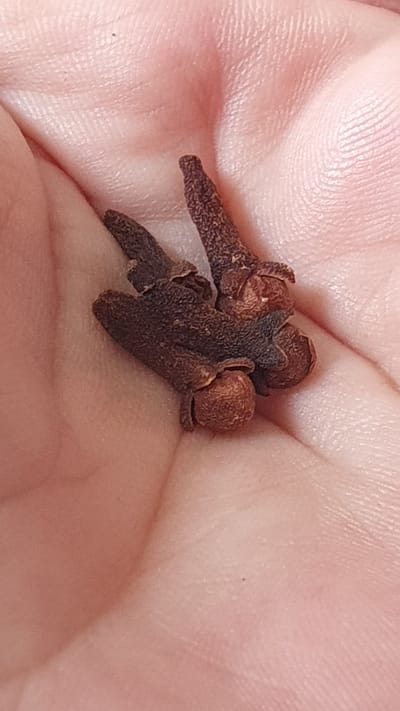 A close-up, overhead shot shows a person's palm holding a small cluster of dried cloves. The skin of the palm is pinkish and shows fine lines and texture. The cloves are dark brown, with visible stem and bud formations. The lighting is bright, creating soft shadows. The scene is neutral, with no discernible city context.