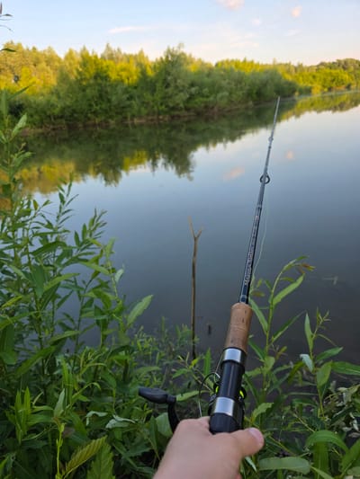 A person's hand grips a fishing rod with a cork handle, extending over lush green foliage and a dark, reflective body of water. The fishing rod is black with silver accents and a visible fishing line. The water's surface mirrors a treeline with abundant green and yellow foliage, and a pale blue sky with scattered clouds. The scene appears to be a natural setting, likely a riverbank, in Togashevo, Russia, during daylight.