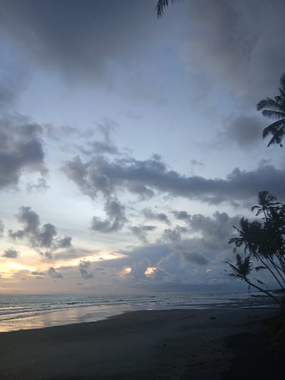 The image depicts a coastal scene in Tibubiyu, Indonesia, observed during twilight hours. The sky occupies the upper two-thirds of the frame, characterized by extensive, dense grey clouds interspersed with areas of lighter blue-grey, indicating an overcast condition. Near the horizon on the left side, a subtle band of pale orange and yellow light suggests the position of the sun low on the horizon. Below the sky, the ocean surface is calm, with minimal wave activity reflecting the muted light of the sky. A dark, wet sandy beach stretches across the lower portion of the image, appearing smooth and devoid of distinct markings. On the far right, a cluster of approximately seven palm trees stands silhouetted against the backdrop, their fronds obscured by low light, leaning slightly towards the water. No individuals, animals, or man-made objects are visible within the frame.
