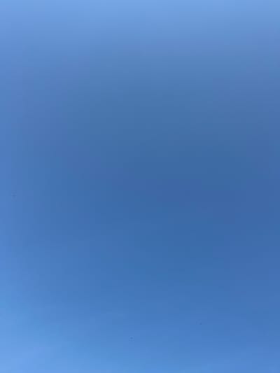 The image displays a clear, bright blue sky with a few very small, dark specks that could be birds or insects, scattered across the frame. There are no discernible structures, people, or objects in the foreground or background, suggesting the photograph was taken from an open area, possibly looking directly upwards or at a wide expanse of sky. The lighting appears even, indicating it is daytime. The scene's specific location within Vangaži, Latvia, is not visually identifiable from the image itself.
