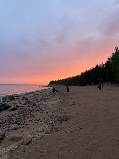 This is a vertical, medium-shot photograph taken at dusk on a beach in Luzhki, Russia. The sky exhibits a gradient of colors, transitioning from a soft lavender at the top to a vibrant orange and pink near the horizon. A line of dark green coniferous trees forms a dense backdrop along the elevated shoreline to the right. The beach itself is composed of sand mixed with numerous stones and rocks of varying sizes, some of which are large and rounded. The water of the sea is calm and reflects the colors of the sky.
Several figures are present on the beach. On the far left, a person in dark clothing walks along the water's edge. Further inland, in the middle ground, two individuals stand near the tree line. To the right of them, another group of people are visible. Among them, two individuals appear to be standing with what could be a surfboard or a large piece of dark material. Footprints are discernible in the sand across the beach, indicating recent activity. The overall atmosphere is serene, capturing the end of a day with the striking colors of a sunset over the Baltic Sea.