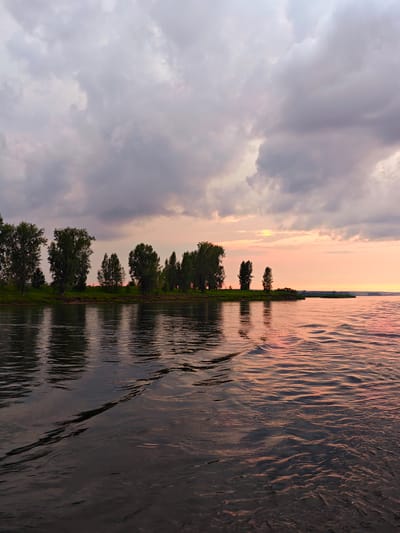 The image depicts a serene river scene at dusk in Kazachinskoe, Russia. A line of trees with lush green foliage stands on the riverbank, their reflections shimmering on the dark, rippling water. The sky is a canvas of dramatic clouds, with hues of grey and pink blending into a soft pastel sunset. The water's surface is disturbed by gentle waves, creating intricate patterns that catch the fading light. The overall impression is one of tranquility and natural beauty, capturing the essence of a quiet evening by the river.