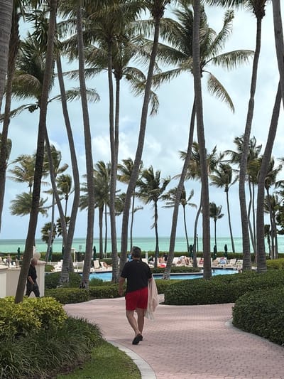 The image shows a sidewalk made of light pink bricks leading toward a body of water under a cloudy sky. Many palm trees line the water. There are people lounging in chairs by the water. A man in red shorts and a black shirt is walking away from the camera along the sidewalk with a white towel draped over his back. Another man is standing along the path as well. The location is Key Biscayne, United States of America.
