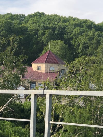 A building with a red, pyramidal roof is partially obscured by lush green trees. The building appears to be light yellow or tan with several windows visible. In the foreground, a metal railing with vertical posts and horizontal bars separates the viewer from the scene. The railing is made of galvanized metal and shows some signs of weathering. The background consists of a dense forest with varying shades of green foliage. The sky is overcast with light gray clouds. The image appears to be taken from a slightly elevated perspective. The location is described as being in the city of Svetly, Russia.