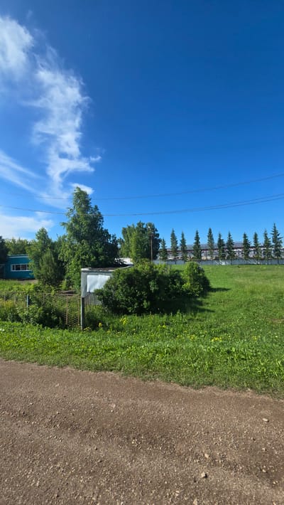 The image depicts a rural or suburban landscape under a clear blue sky with scattered white clouds. In the foreground, a dirt road runs horizontally across the bottom of the frame. Behind the road, a lush green grassy field extends upwards, dotted with small yellow wildflowers. To the left of the field, a small, light blue building with white-trimmed windows is visible, partially obscured by dense green foliage and trees. Adjacent to the building and extending into the middle ground is a metallic, shed-like structure with a silver roof and sides. A rusty metal fence runs along the edge of the property.

Further back, a row of uniform, dark green coniferous trees stands against a backdrop of a long, light-colored building with a sloped roof, possibly an industrial or agricultural facility. Overhead, power lines stretch across the sky. The overall scene suggests a warm, sunny day in a semi-rural area.