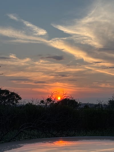 The image depicts a sunset or sunrise over a natural landscape in Belozem, Bulgaria. The sky occupies the upper two-thirds of the frame, transitioning from a pale blue-grey at the top to vibrant orange, red, and yellow hues near the horizon. Wispy, elongated cirrus and altocumulus clouds are distributed across the sky, particularly illuminated by the low light source. The sun, a bright, intense orange-yellow disc, is visible low on the horizon, slightly to the left of the image's vertical center, partially obscured by the foreground vegetation.
The midground and foreground consist of a dense, dark silhouette of trees and shrubs, many exhibiting intricate patterns of bare branches. These dark masses dominate the lower and mid-sections of the landscape, obscuring the terrain directly beneath them. Faint outlines of distant hills or elevated terrain are discernible against the illuminated horizon, beyond the primary layer of vegetation.
The bottom portion of the image, approximately the lower fifth, features a highly reflective, light-colored surface, consistent with the hood or roof of a vehicle. This surface reflects the bright sun and the warm colors of the sky, creating a distorted, rippled reflection. No people, animals, or specific man-made structures are overtly present within the natural landscape, apart from the implied vehicle. The scene conveys a tranquil, natural environment under the dramatic lighting of a low sun.