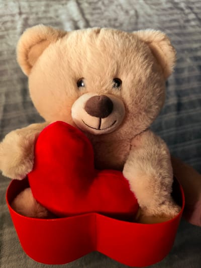 A light brown teddy bear is seated, holding a red heart-shaped object. The bear has a brown nose and stitched mouth, with dark button eyes. It is positioned within a red, heart-shaped box, with its paws resting on the edge of the box. The background is a textured, gray surface, possibly a blanket or bedspread. The lighting suggests an indoor setting, with some shadows indicating a soft light source. The overall impression is one of warmth and affection, possibly associated with Valentine's Day or a similar celebratory occasion. The scene is a close-up shot, focusing on the teddy bear and the heart. No text is visible in the image. The location context of Almere, Netherlands does not provide specific visual cues within the image itself.