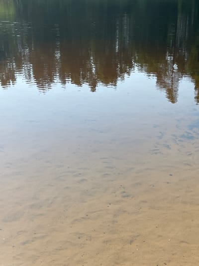 This media file shows a reflection of trees on the surface of shallow, clear water. The water reveals a sandy bottom with subtle undulations and scattered small pebbles. The trees are reflected in a vertical orientation, creating a mirrored image that stretches across the left side of the frame. The sky's reflection dominates the right side of the image, appearing as a pale, luminous expanse with faint patterns suggesting ripples or disturbances on the water's surface. The overall impression is one of tranquility and natural beauty, likely captured on a clear day during daylight hours. The scene evokes a sense of calm and natural serenity, consistent with a quiet outdoor environment. No people, objects, text, or specific activities are depicted. The location context of Vangaži, Latvia, suggests this could be a scene from a river, lake, or stream in that region.