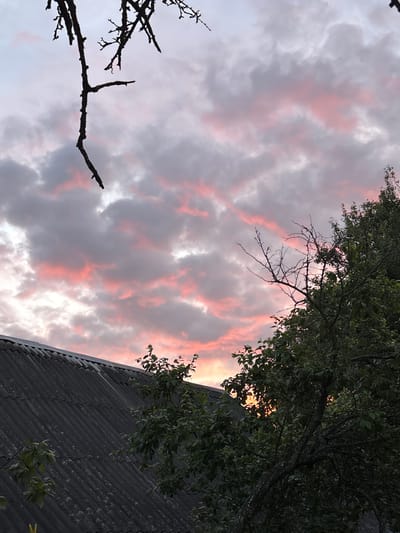 A view from below of a corrugated roof of a building, partially covered by the dark green leaves of a tree. Above the roof, a tree branch extends from the top left corner of the frame downwards into the scene, silhouetted against a sky filled with clouds. The clouds are a mix of gray and white, with streaks of pink and orange, suggesting either sunrise or sunset. The overall impression is of an outdoor scene in a rural or suburban setting, possibly within the Ганчарскі сельскі Савет, Belarus.