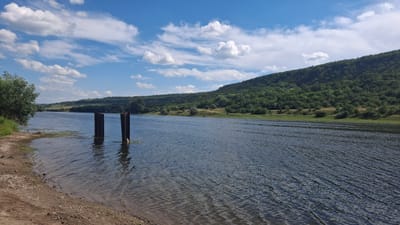 The image depicts a tranquil river scene in Bursuc, Moldova. The river occupies the majority of the frame, its surface rippling under a bright, partly cloudy sky. Two dark, rectangular posts stand partially submerged in the water near the left bank, their purpose unclear but suggesting remnants of a dock or structure.

The left bank of the river is a narrow strip of sandy shore dotted with small stones and some scattered green vegetation. A lush green tree with dense foliage grows on the far left, its branches reaching towards the water. The right bank of the river is characterized by a steep, tree-covered hill that stretches into the distance. The trees are a vibrant green, creating a dense canopy that covers the hillside. A thin band of lighter green grass and scattered smaller trees runs along the base of the hill.

In the background, the sky is a brilliant blue, adorned with fluffy white clouds that cast soft shadows. The overall impression is one of a warm, sunny day, likely late morning or early afternoon given the brightness of the light. The scene evokes a sense of peace and natural beauty, with no people or discernible activities. The location is identified as Bursuc, Moldova, adding a specific geographical context to the serene landscape.