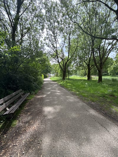 The image presents a pathway in Veghel, Netherlands, bordered by trees and vegetation. The pathway, made of asphalt, stretches into the distance with light patches suggesting sunlight dappling through the overhead canopy. Alongside the path, there is dense greenery and a partial view of a wooden bench. The scene is generally quiet and natural, focused on the pathway and its surrounding landscape. No people or animals are visible.